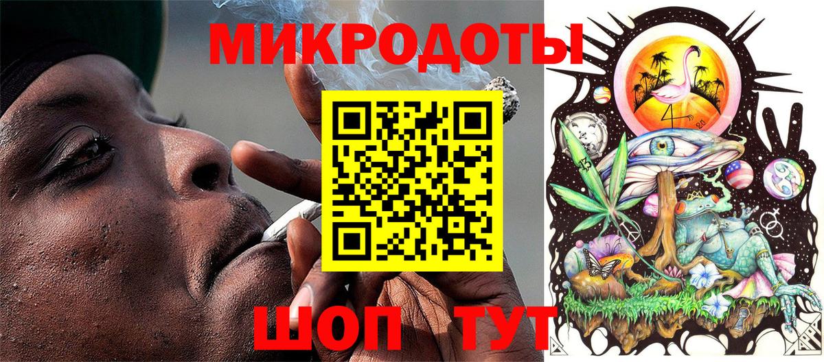 Псилоцибиновые грибы Psilocybe Томск