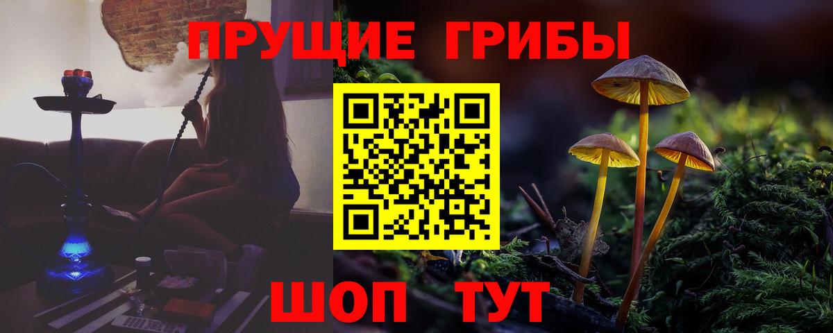 Томск  Галлюциногенные грибы мицелий  Вход с VPN 